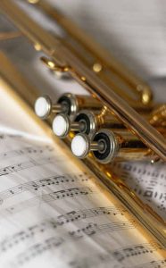 Guitare de marque Schecter