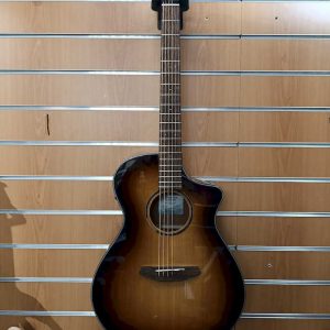 Breedlove Discovery Concort ED CE