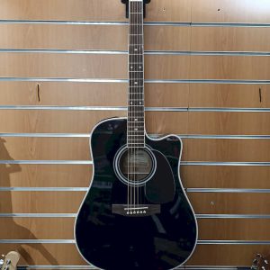 Takamine EF 341 SC