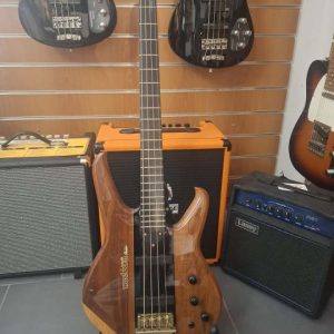 Washburn Status Series 1000
